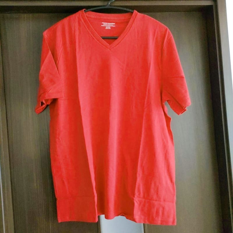 Men's Short Sleeve V-Neck T-Shirt Size L (2 Pack)