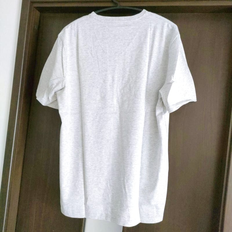 Men's Short Sleeve V-Neck T-Shirt Size L (2 Pack)