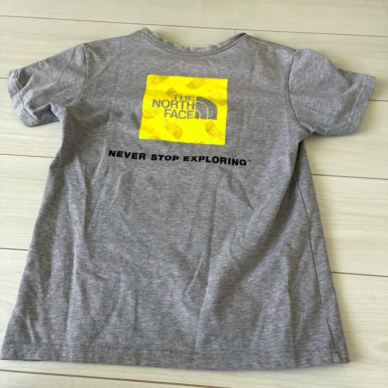 The North Face Half Sleeve T-Shirt Gray