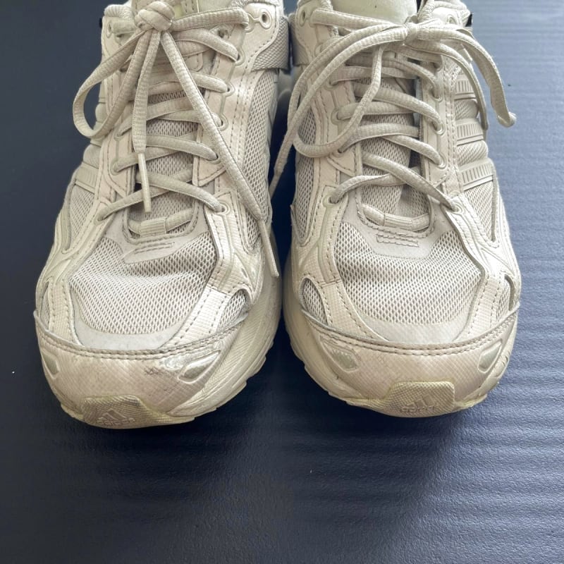 Adidas SPIRITAIN 2000 GTX Size 26cm
