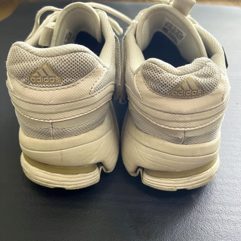 Adidas SPIRITAIN 2000 GTX Size 26cm