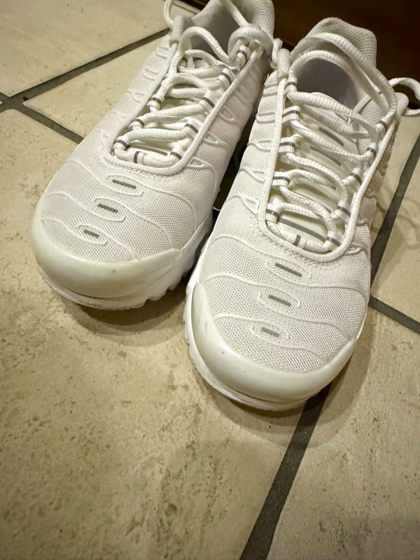 Nike Air Max Plus 24.5cm