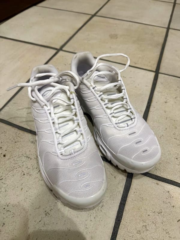 Nike Air Max Plus 24.5cm