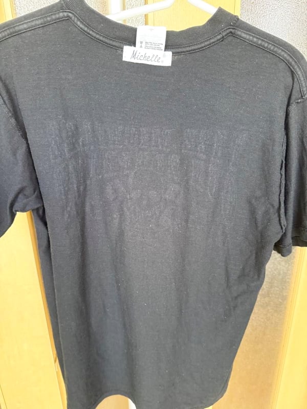 THEE Michelle Gun Elephant Fuji Rock T-Shirt Size S