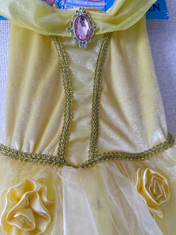 Princess Dress Size 110-120