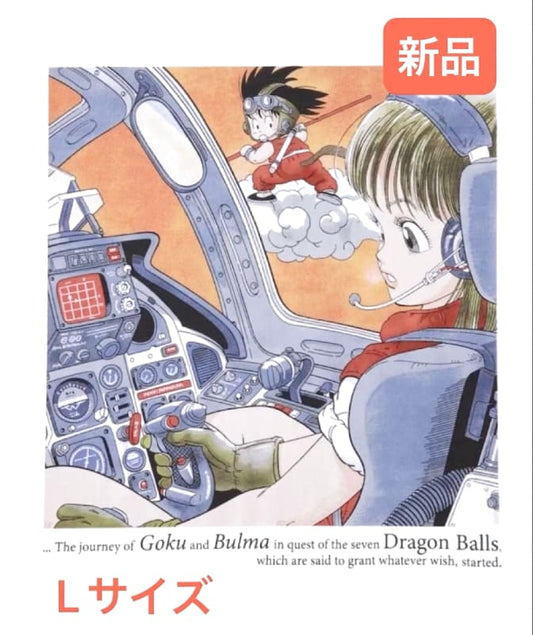 Uniqlo Dragon Ball UT T-Shirt L Goku & Bulma
