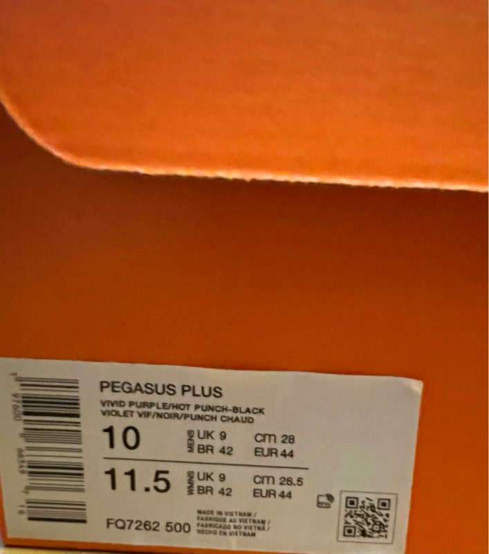 Nike Pegasus Plus Running Shoes 28.0cm