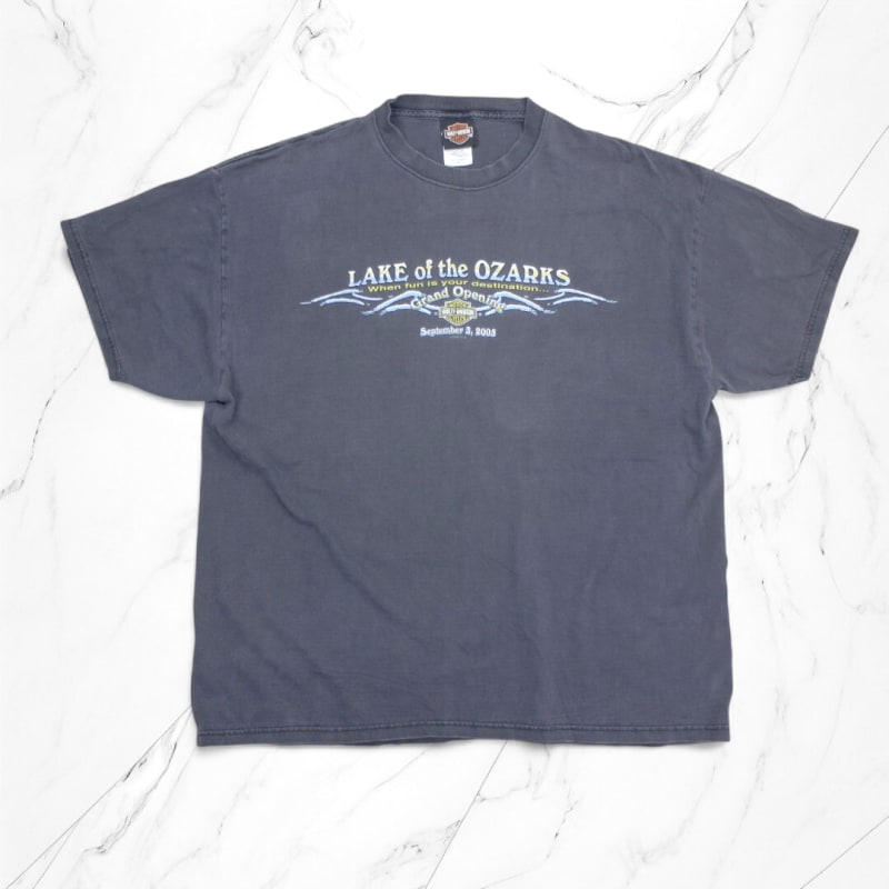 Vintage Harley Davidson T-Shirt Washed Black XL