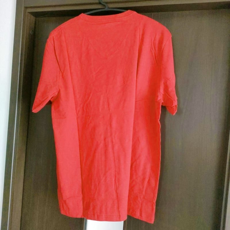 Men's Short Sleeve V-Neck T-Shirt Size L (2 Pack)