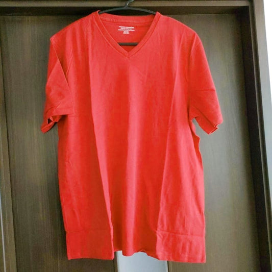 Men's Short Sleeve V-Neck T-Shirt Size L (2 Pack)