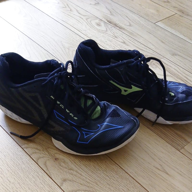 Mizuno Wave Claw ELB Black Badminton Shoes