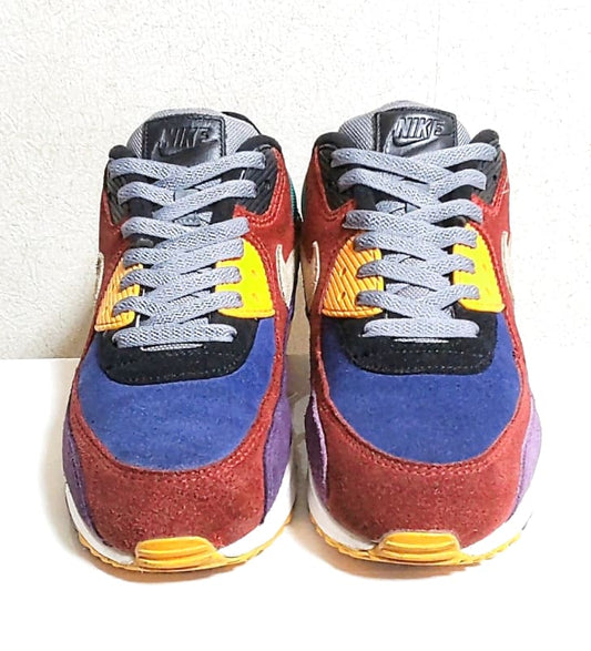 Nike Air Max 90 Viotech Limited Edition
