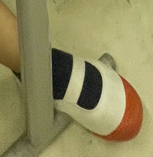 Indoor Shoes Socks JK