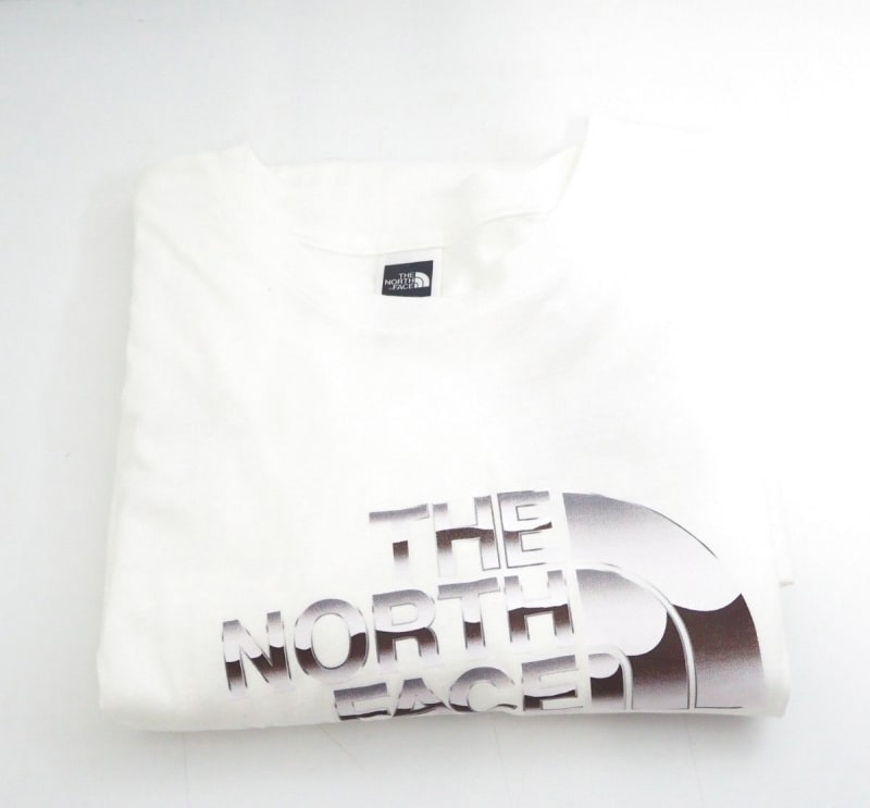 Supreme The North Face Metallic Logo T-Shirt White XL