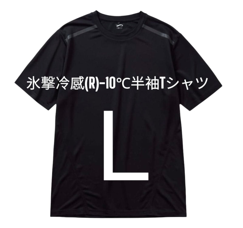 Workman Ice Shock Cooling T-Shirt L Black