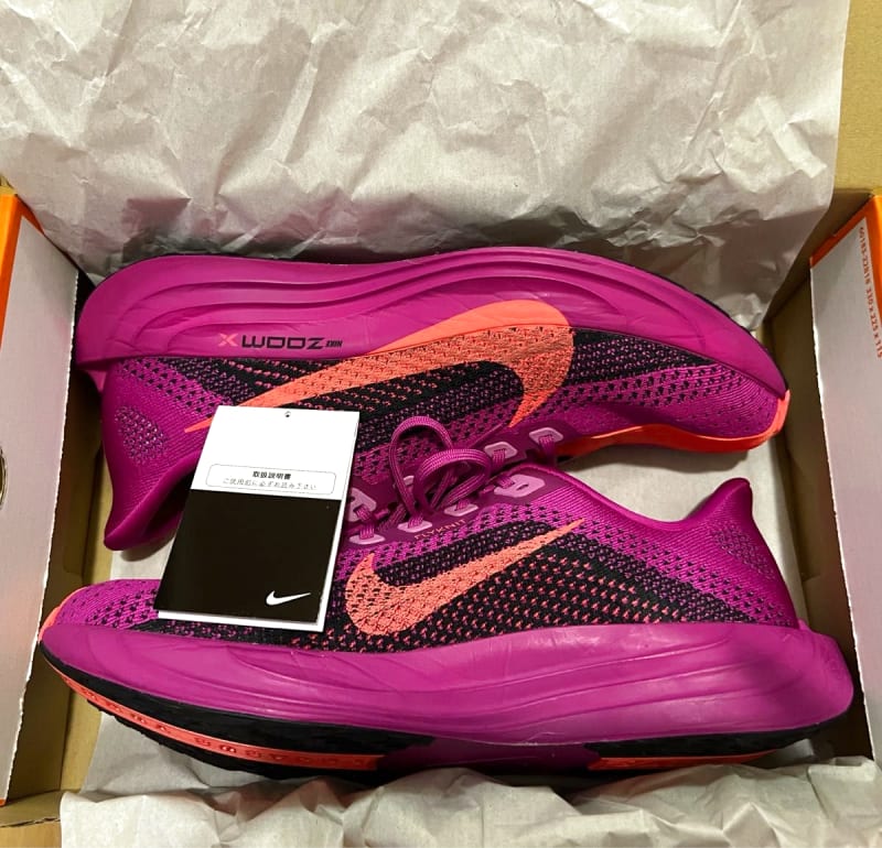 Nike Pegasus Plus Running Shoes 28.0cm