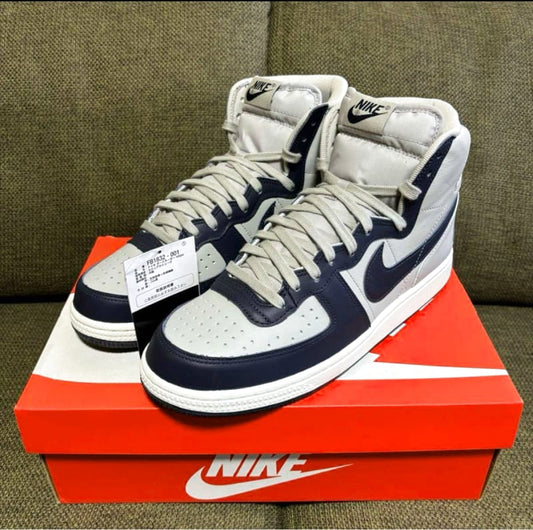 Nike Terminator High Georgetown 2022 Sneakers