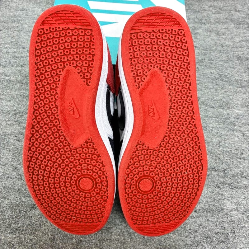 Nike Women's Skate Sneakers NIKE SB 24
