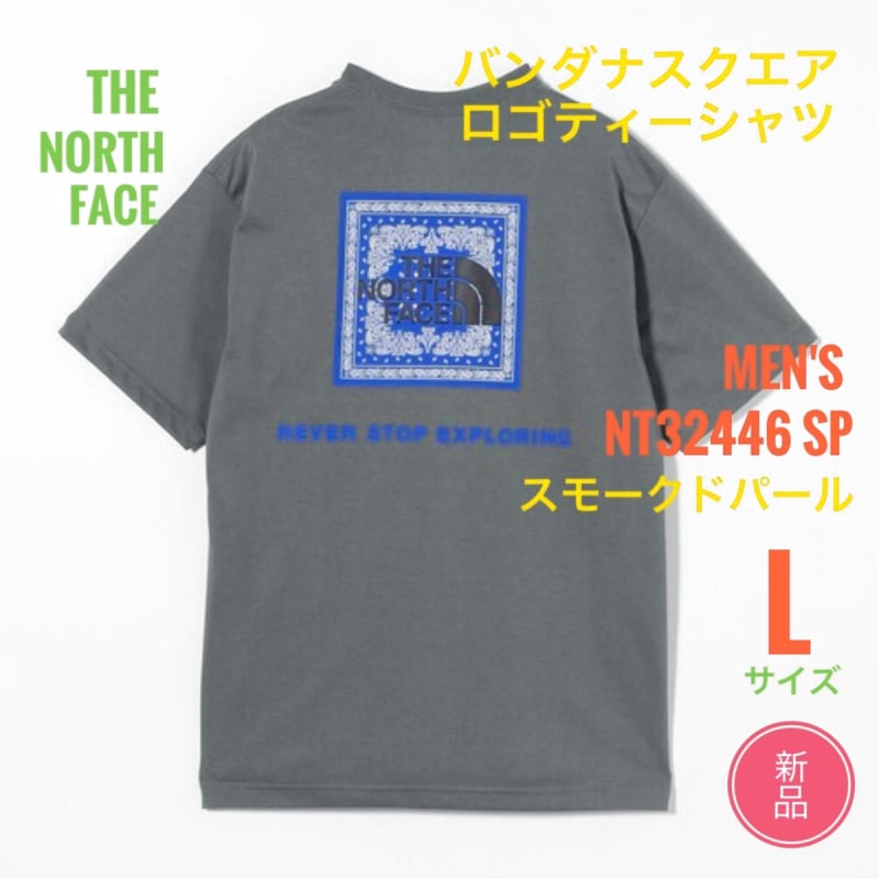 The North Face Bandana Square Logo T-Shirt Men's L Gray