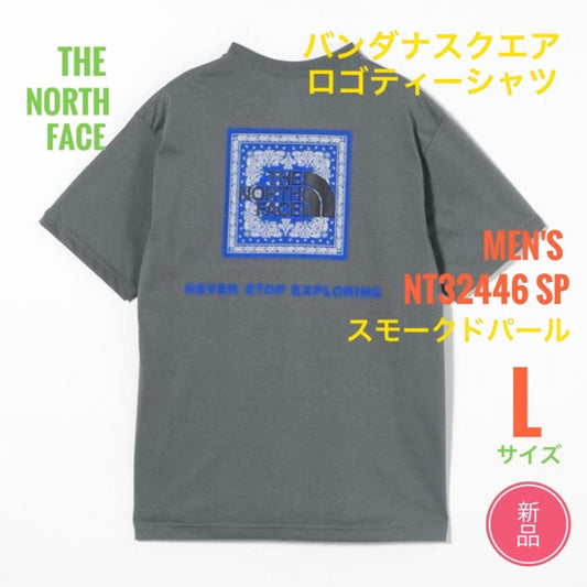 The North Face Bandana Square Logo T-Shirt Men's L Gray