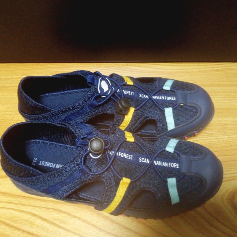 Bundle of 3 Shoes Including NIKE and Adidas Winter Boots