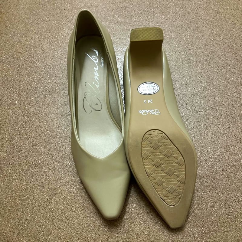 Climbs Pumps Beige Pointed Toe 24.5cm