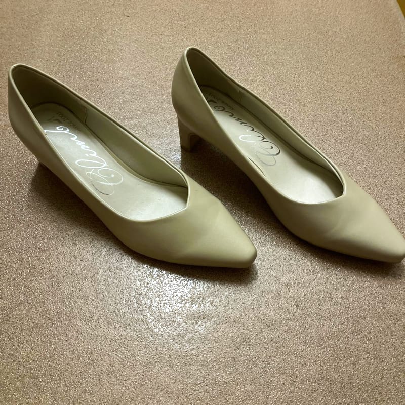 Climbs Pumps Beige Pointed Toe 24.5cm
