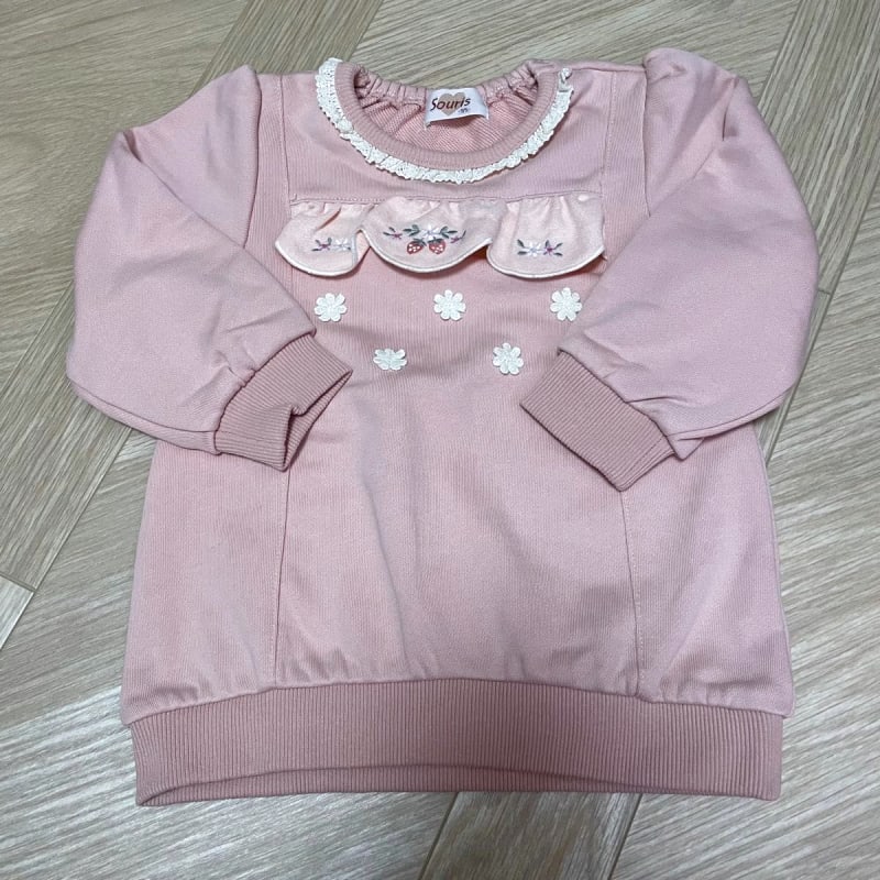 Souris Top Trainer 95