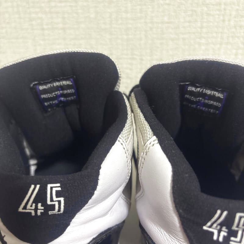 Nike Air Jordan 11 Retro Low IE Sneakers