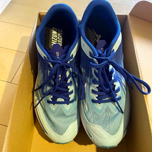 Mizuno Running Shoes Duel Flash 2
