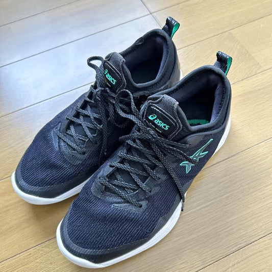 Asics Glide Nova FF2 25.0cm