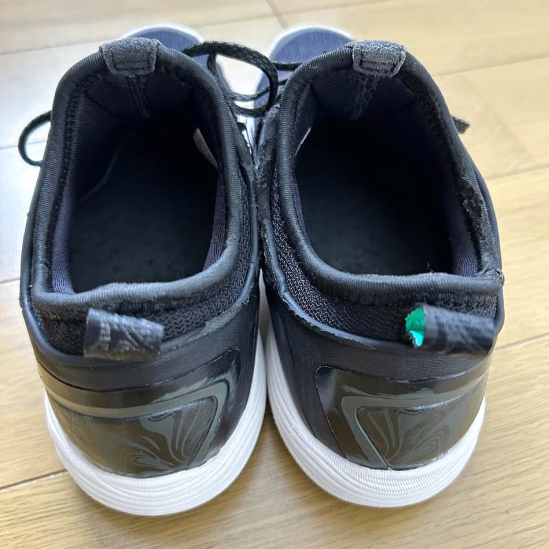 Asics Glide Nova FF2 25.0cm