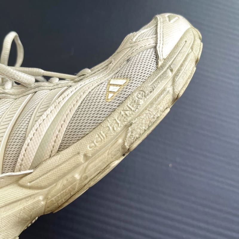 Adidas SPIRITAIN 2000 GTX Size 26cm