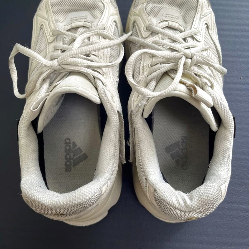 Adidas SPIRITAIN 2000 GTX Size 26cm