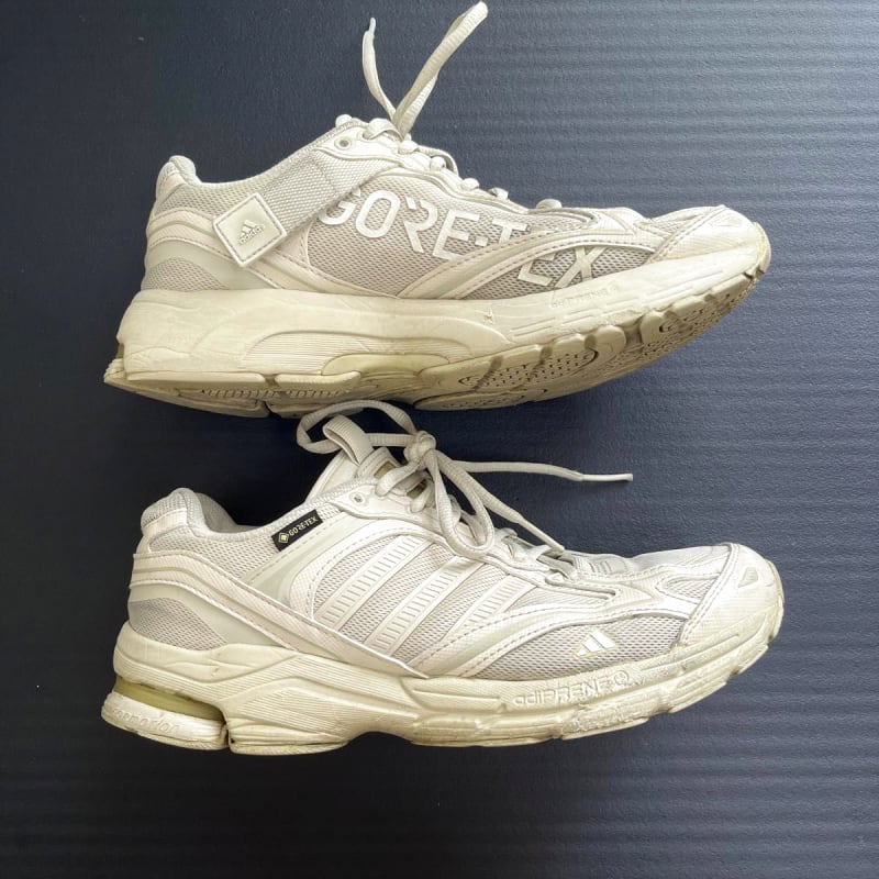 Adidas SPIRITAIN 2000 GTX Size 26cm