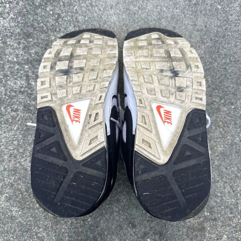 Nike Air Max Sneakers