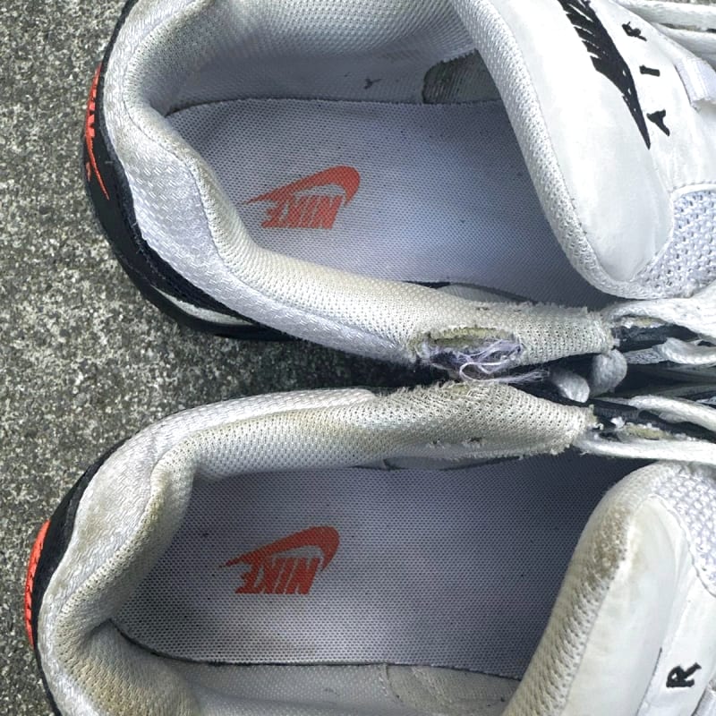Nike Air Max Sneakers
