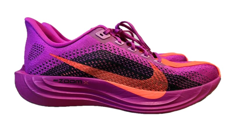 Nike Pegasus Plus Running Shoes 28.0cm