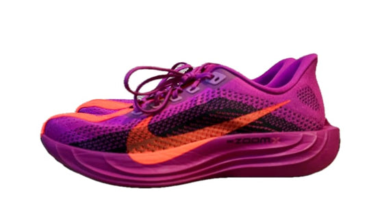 Nike Pegasus Plus Running Shoes 28.0cm