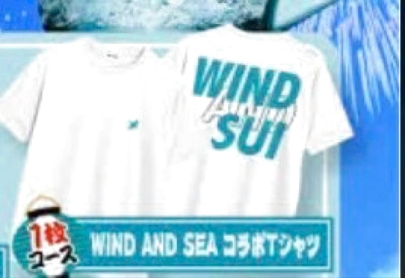 Windandsea Limited Edition T-Shirt M Size