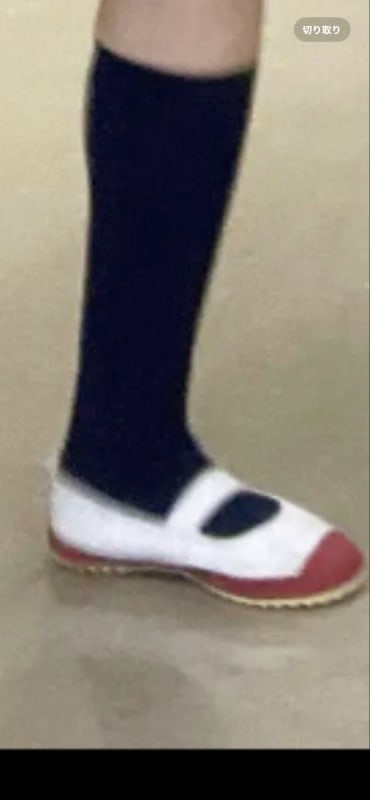 Indoor Shoes Socks JK