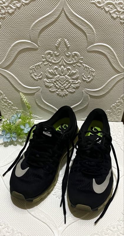 Nike Air Max 2016 Black 24.5cm