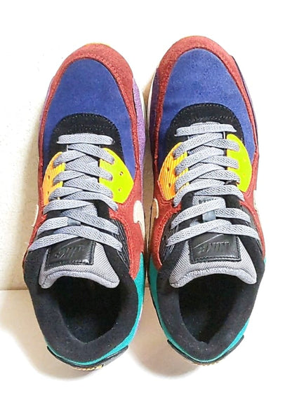 Nike Air Max 90 Viotech Limited Edition