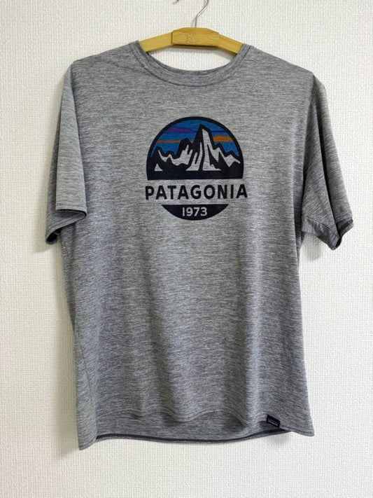 Patagonia Gray T-Shirt with 1973 Logo