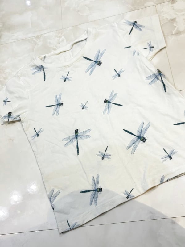 Insect Collection Dragonfly T-Shirt