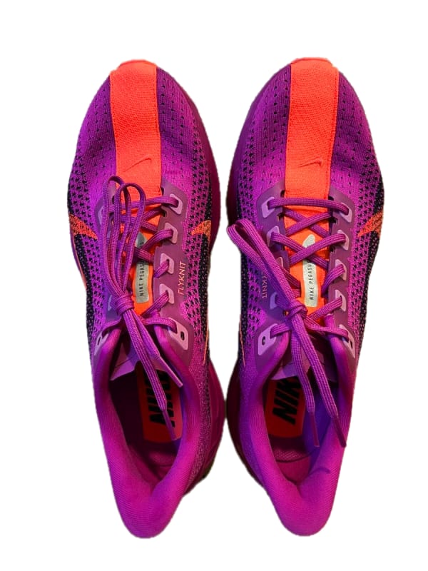 Nike Pegasus Plus Running Shoes 28.0cm