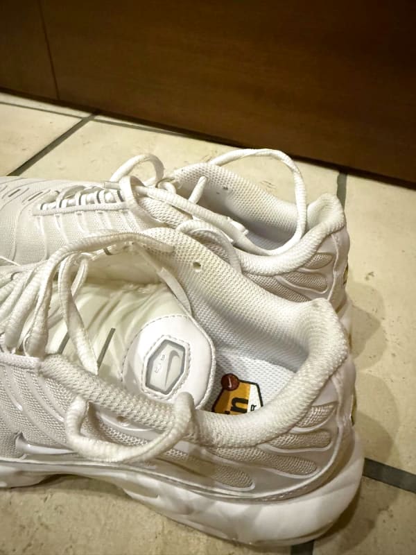 Nike Air Max Plus 24.5cm