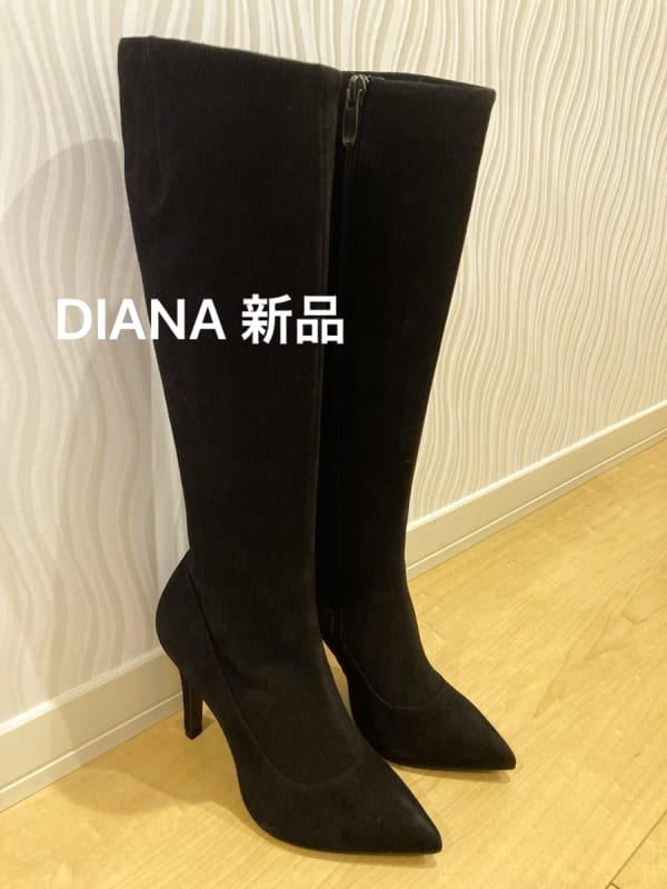 Diana Suede Stretch Long Boots