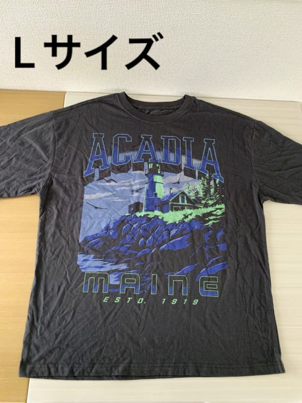 Acadia National Park T-Shirt L