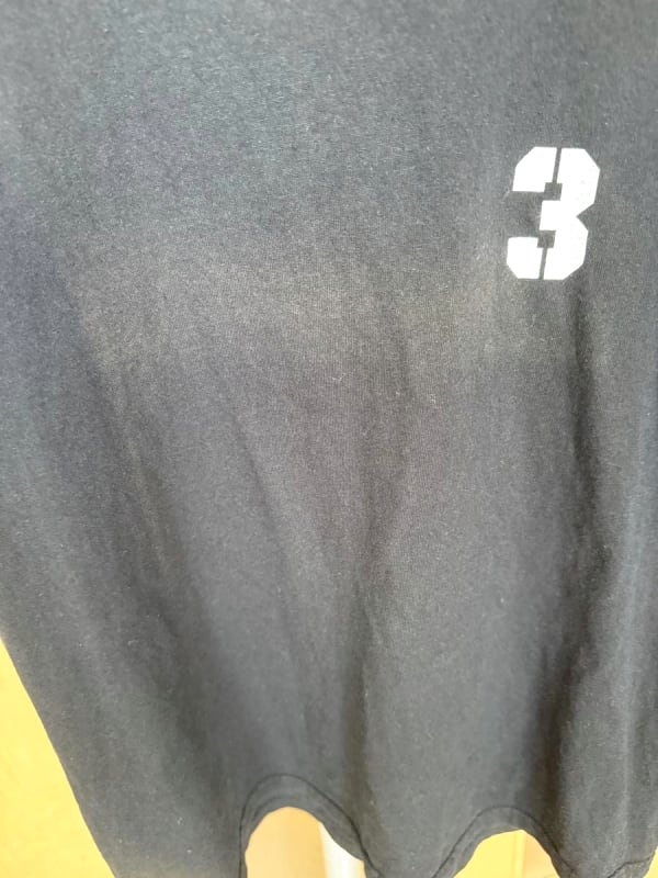 THEE Michelle Gun Elephant Fuji Rock T-Shirt Size S